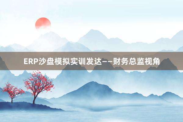 ERP沙盘模拟实训发达——财务总监视角