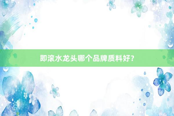 即滚水龙头哪个品牌质料好？
