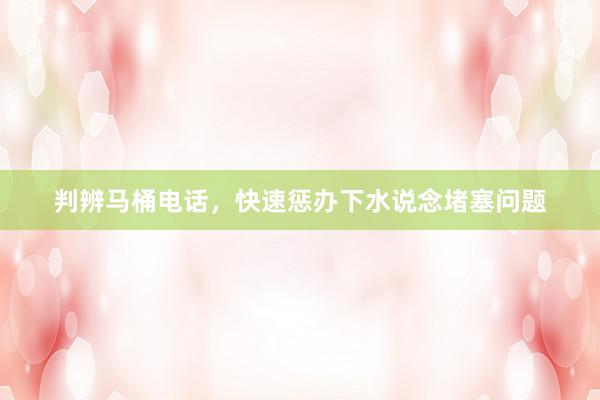 判辨马桶电话，快速惩办下水说念堵塞问题