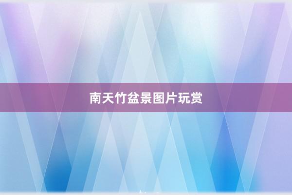 南天竹盆景图片玩赏